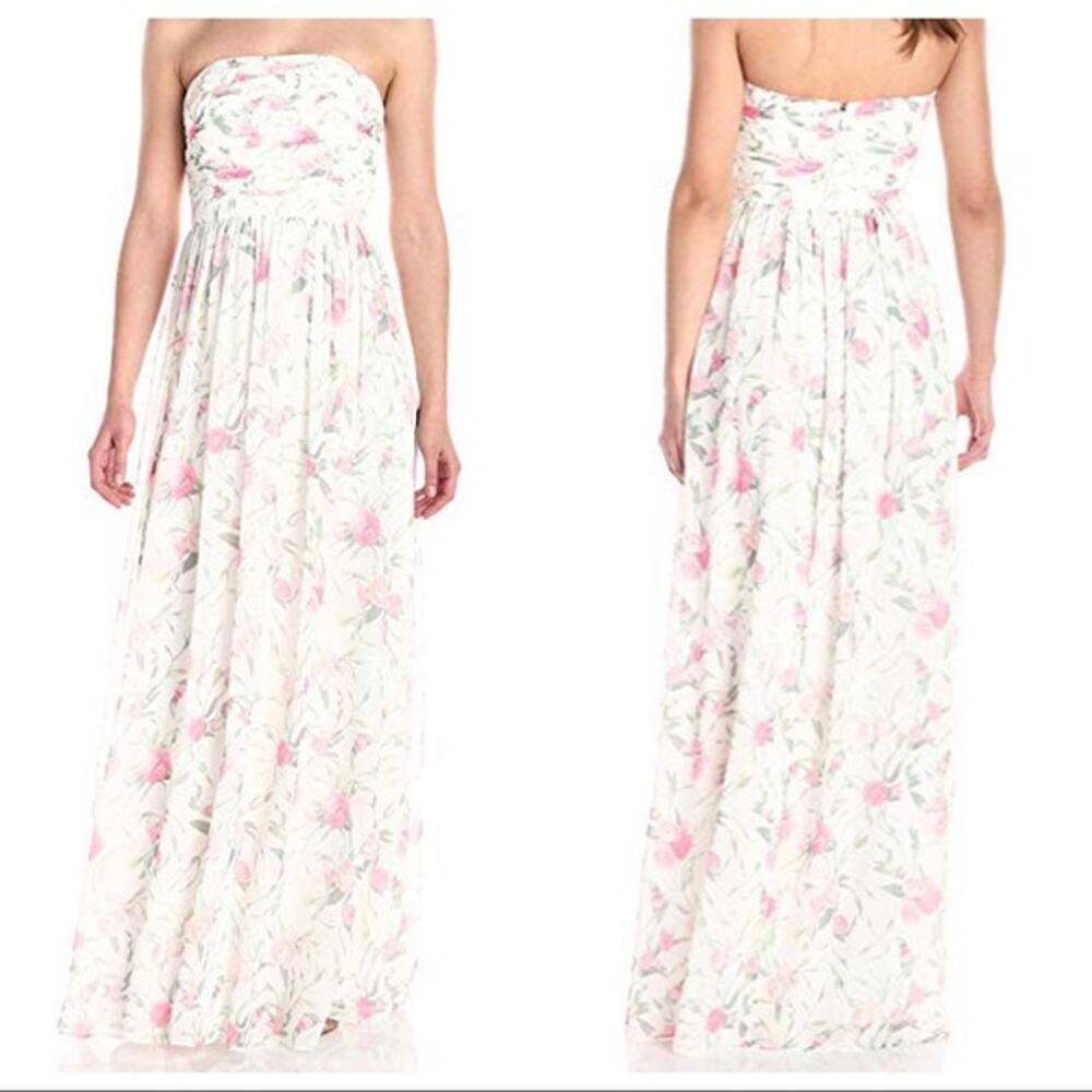 Erin Fetherston Maxi Chiffon Isabelle Dress Sz 0